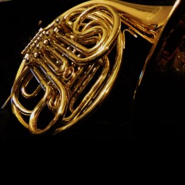 Castle CDH-LARF-L Double French Horn