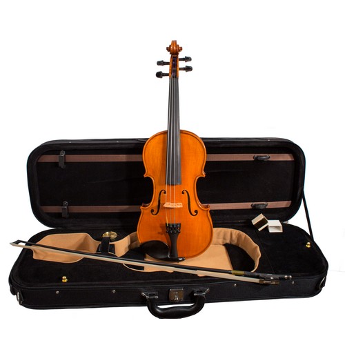Po River PN100R violin