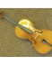 (Used) Beijing Forest Music 4/4 Cello