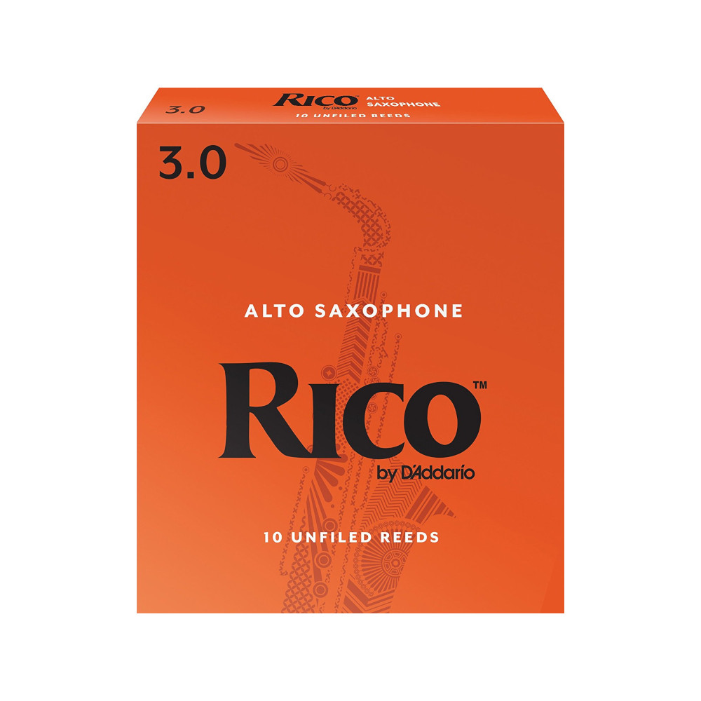 RICO-AS-3-Q10