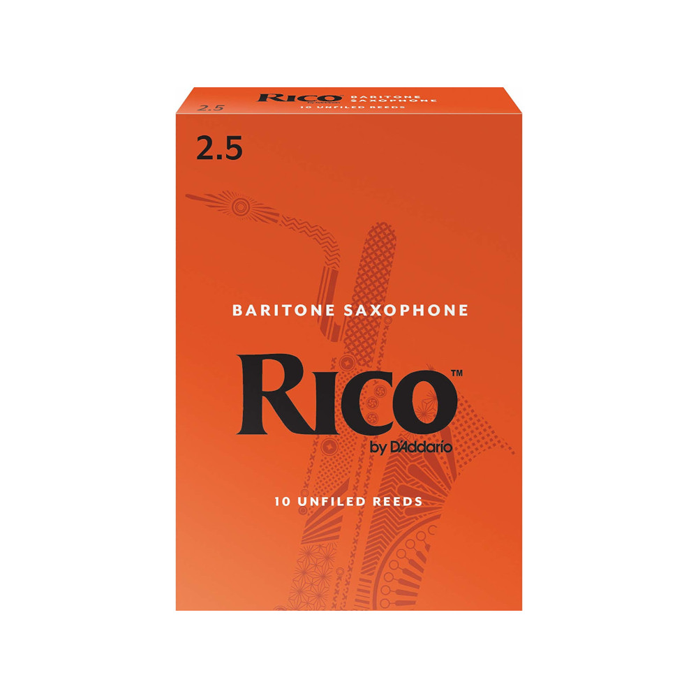 RICO-BS-25-Q10
