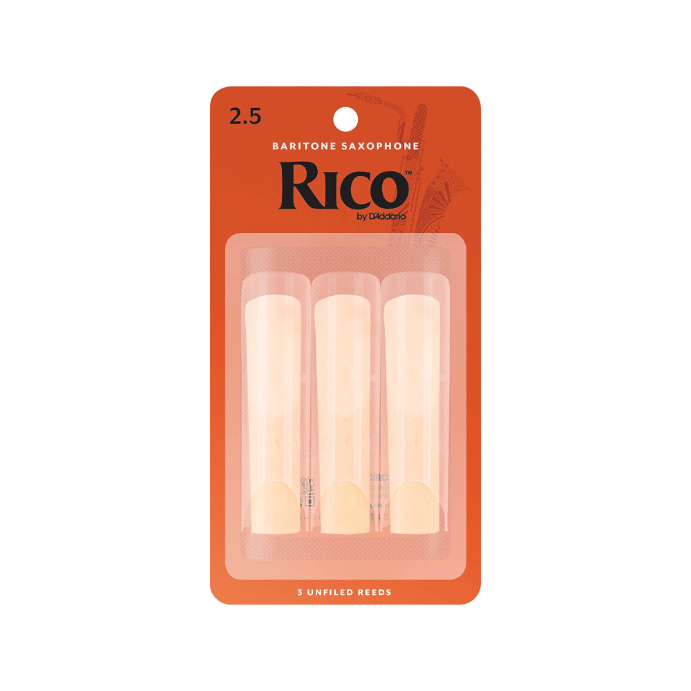 RICO-BS-25-Q3